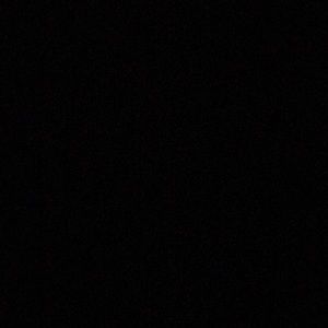 Meet your Posher, Jaylen